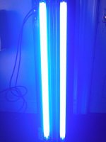 IMAG0480.jpg