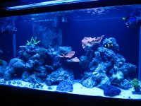 IMG_1746.jpg