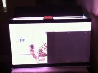 ImageUploadedByTapatalk1298895189.682787.jpg