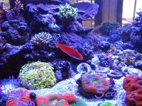 IMG_1444.JPG