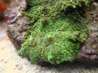 IMG_6301.jpg