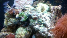 2010-11-08_17-55-53_783.jpg