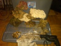 IMG00040-20110107-0347.jpg
