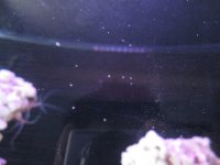 IMG_0514.JPG