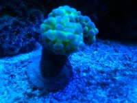 IMG_7005.jpg
