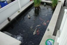 DSC00816.jpg