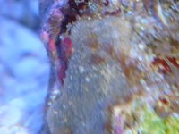 DSC02399.JPG