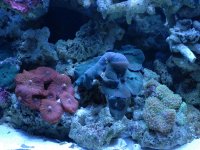 DSC_0171 - Copy.JPG