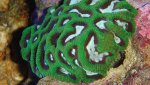 DSC00487.jpg