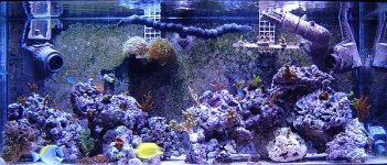 fts.jpg
