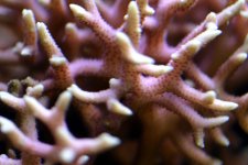 IMG_6038.JPG