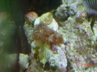DSC00083.jpg