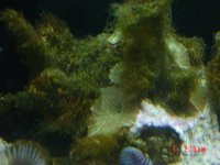 DSC00084.jpg