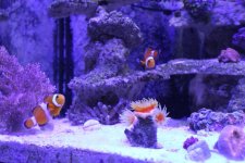 IMG_3558.jpg