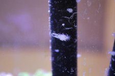 DSC_0003.jpg