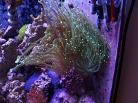 aquarium 054.jpg