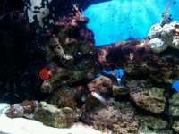IMG00193-20100801-1357.jpg