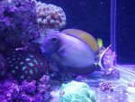 2011-03-12 16.45.27.jpg
