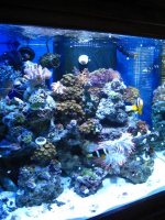stretch veiw of tank.jpg