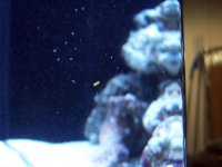 100_3244.jpg