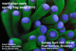 2010-spring-swap[2].gif