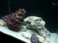 IMG_0413.jpg