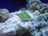 IMG00054-20100618-2103.jpg