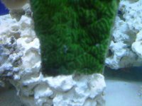 IMG00056-20100618-2329.jpg