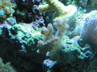 DSC02300.jpg