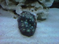 IMG00076-20100623-2309.jpg