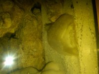 IMG00005-20101115-1736.jpg