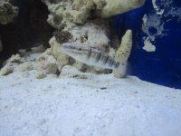 IMG_1392.jpg
