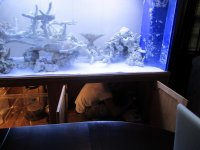 IMG_1321.jpg