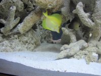 IMG_1413.jpg