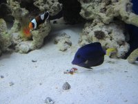 IMG_1436.jpg