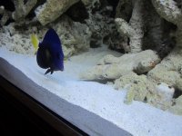 IMG_1445.jpg