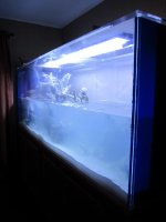 IMG_1355.jpg