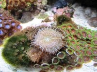 IMG_0039.JPG