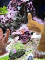 IMG_0040.jpg