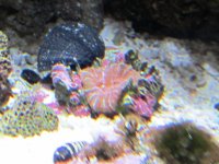 IMG_0041.JPG