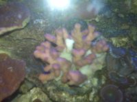 IMG00509po.jpg