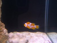 IMG_20110416_203752.jpg