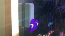 100_0334.jpg