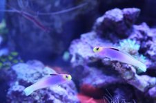 IMG_0979.jpg