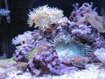 IMG_0957.jpg