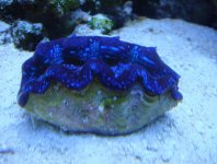 DSC00935.jpg