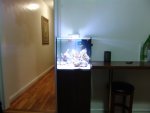 DSC01209.JPG