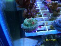 100_3273.jpg