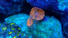20101205_010.jpg