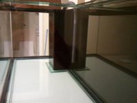 2011-01-16 18.13.59.jpg